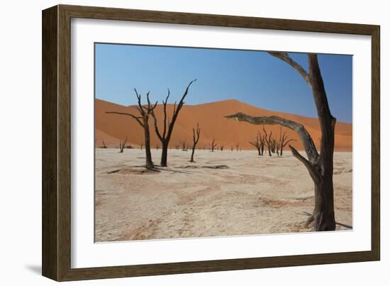 The Dead Acacia Trees of Deadvlei at Sunrise-Alex Saberi-Framed Photographic Print