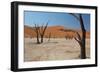 The Dead Acacia Trees of Deadvlei at Sunrise-Alex Saberi-Framed Photographic Print