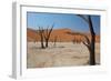 The Dead Acacia Trees of Deadvlei at Sunrise-Alex Saberi-Framed Photographic Print