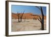 The Dead Acacia Trees of Deadvlei at Sunrise-Alex Saberi-Framed Photographic Print