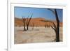 The Dead Acacia Trees of Deadvlei at Sunrise-Alex Saberi-Framed Photographic Print