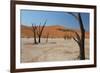 The Dead Acacia Trees of Deadvlei at Sunrise-Alex Saberi-Framed Photographic Print