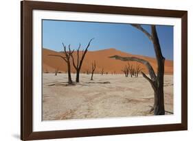 The Dead Acacia Trees of Deadvlei at Sunrise-Alex Saberi-Framed Photographic Print