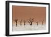 The Dead Acacia Trees of Deadvlei with a Heat Reflection-Alex Saberi-Framed Photographic Print