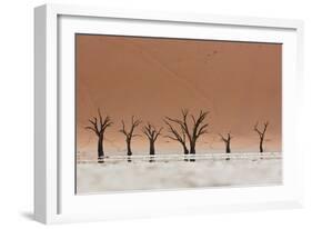 The Dead Acacia Trees of Deadvlei with a Heat Reflection-Alex Saberi-Framed Photographic Print