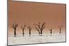 The Dead Acacia Trees of Deadvlei with a Heat Reflection-Alex Saberi-Mounted Photographic Print