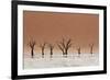The Dead Acacia Trees of Deadvlei with a Heat Reflection-Alex Saberi-Framed Photographic Print