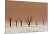 The Dead Acacia Trees of Deadvlei with a Heat Reflection-Alex Saberi-Mounted Photographic Print