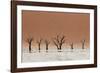 The Dead Acacia Trees of Deadvlei with a Heat Reflection-Alex Saberi-Framed Photographic Print