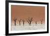 The Dead Acacia Trees of Deadvlei with a Heat Reflection-Alex Saberi-Framed Photographic Print