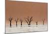 The Dead Acacia Trees of Deadvlei with a Heat Reflection-Alex Saberi-Mounted Photographic Print