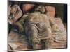 The Dead Christ, c.1480-90-Andrea Mantegna-Mounted Giclee Print