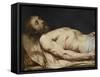 The Dead Christ Laid down on His Shroud (Detail of mid to Upper Body), before 1654 (Oil on Wood)-Philippe De Champaigne-Framed Stretched Canvas