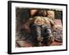 The Dead Christ-Andrea Mantegna-Framed Giclee Print