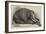 The Dead Elephant at the Gardens of the Zoological Society, Regent'S-Park-George Landseer-Framed Giclee Print