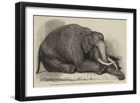 The Dead Elephant at the Gardens of the Zoological Society, Regent'S-Park-George Landseer-Framed Giclee Print