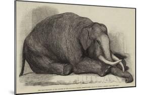 The Dead Elephant at the Gardens of the Zoological Society, Regent'S-Park-George Landseer-Mounted Giclee Print