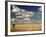 The Dead-Flat Grasslands of the Barkly Tablelands, Northern Territory, Australia, Pacific-Tony Waltham-Framed Photographic Print