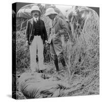 The Dead Maneater, Behar Jungle, India, C1900s-Underwood & Underwood-Stretched Canvas