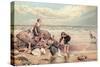 The Dead Sea-Bird-Myles Birket Foster-Stretched Canvas