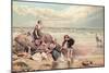 The Dead Sea-Bird-Myles Birket Foster-Mounted Giclee Print
