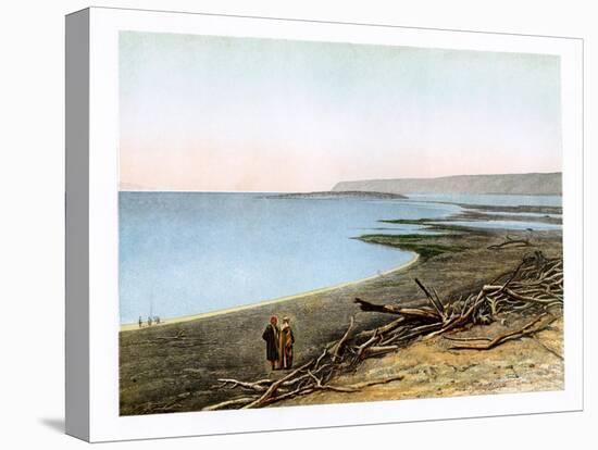 The Dead Sea, C1870-W Dickens-Stretched Canvas