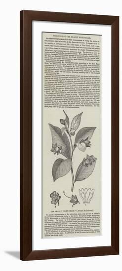 The Deadly Night-Shade, (Atropa Belladonna)-null-Framed Premium Giclee Print