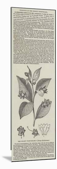 The Deadly Night-Shade, (Atropa Belladonna)-null-Mounted Giclee Print