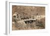 The Deadwood Coach, 1889-John C. H. Grabill-Framed Photographic Print