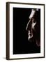 The Death Mask of Dante Alighieri-null-Framed Giclee Print