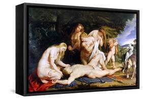 The Death of Adonis (With Venus, Cupid and the Three Graces) C.1614-Peter Paul Rubens-Framed Stretched Canvas