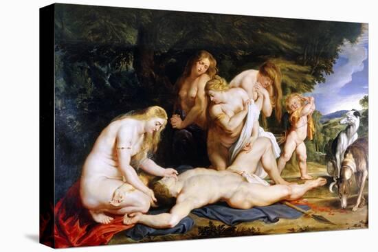 The Death of Adonis (With Venus, Cupid and the Three Graces) C.1614-Peter Paul Rubens-Stretched Canvas
