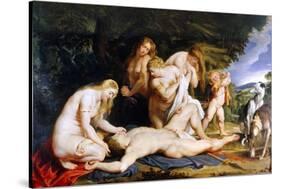 The Death of Adonis (With Venus, Cupid and the Three Graces) C.1614-Peter Paul Rubens-Stretched Canvas