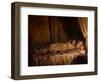 The Death of Albine, 1898 (Oil on Canvas)-John Collier-Framed Giclee Print