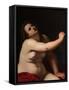 The Death of Cleopatra, 1620 (Oil on Canvas)-Artemisia Gentileschi-Framed Stretched Canvas