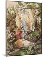 The Death of Cock Robin-John Anster Fitzgerald-Mounted Giclee Print