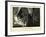 The Death of George Washington-null-Framed Giclee Print