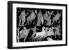 The Death of Hippolytus, 4th Century BC-null-Framed Giclee Print