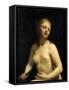 The Death of Lucretia, 17th Century-Guido Cagnacci-Framed Stretched Canvas