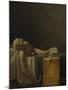 The Death of Marat, 1793-Jacques Louis David-Mounted Giclee Print