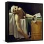 The Death of Marat (John Paul Marat (1743-1793) Murdered). Detail. Painting by Jacques Louis David-Jacques Louis David-Framed Stretched Canvas