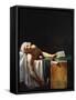 The Death Of Marat-Jacques-Louis David-Framed Stretched Canvas