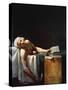 The Death Of Marat-Jacques-Louis David-Stretched Canvas
