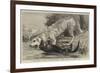 The Death of Raglan, an Otter Killing a Hound, One of the Ulverston Pack-null-Framed Giclee Print