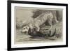 The Death of Raglan, an Otter Killing a Hound, One of the Ulverston Pack-null-Framed Giclee Print