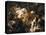 The Death of Sardanapalus-Eugene Delacroix-Stretched Canvas