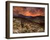 The Death of Saul at Gilboa - Bible-William Brassey Hole-Framed Giclee Print