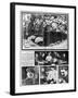 The Death of Stalin, 8th March, 1953-null-Framed Giclee Print