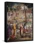 The Death of the Firstborn-Bernardino Luini-Framed Stretched Canvas