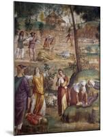 The Death of the Firstborn-Bernardino Luini-Mounted Giclee Print